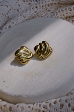 Coral Earrings