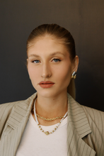 Charlotte Two Toned Earrings