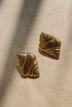 Conch Earrings