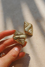 Conch Earrings