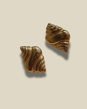 Conch Earrings